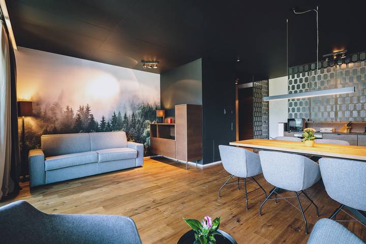 Ferienwohnung für 6 Personen, mit Seeblick und Balkon sowie Sauna und Garten in Zell am See