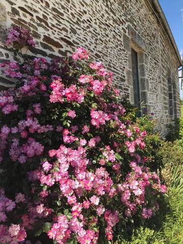Cottage pour 3 personnes dans Geneslay