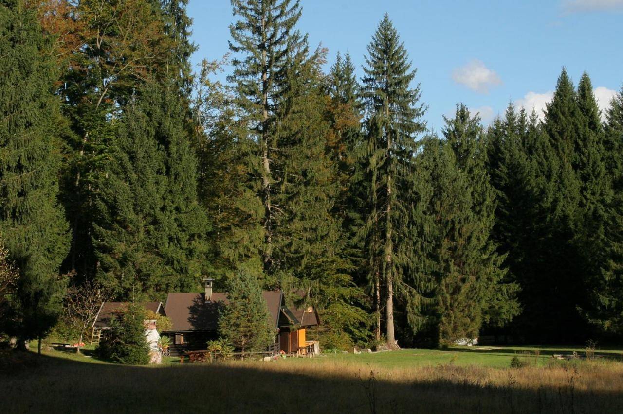 Apartment with Mountain View in Bled, Parc national du Triglav