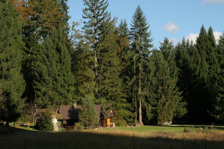 Ferienhaus für 6 Personen, mit Terrasse und Garten sowie Ausblick in Bled - 4