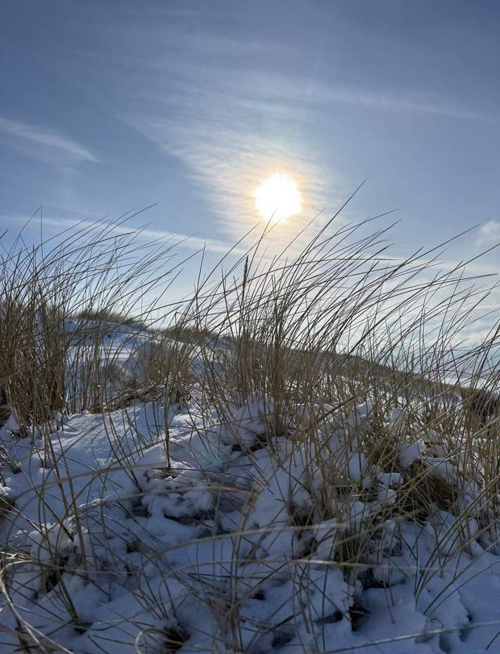 Bungalow für 4 Personen, mit Garten und Terrasse in Nordfriesland - 3