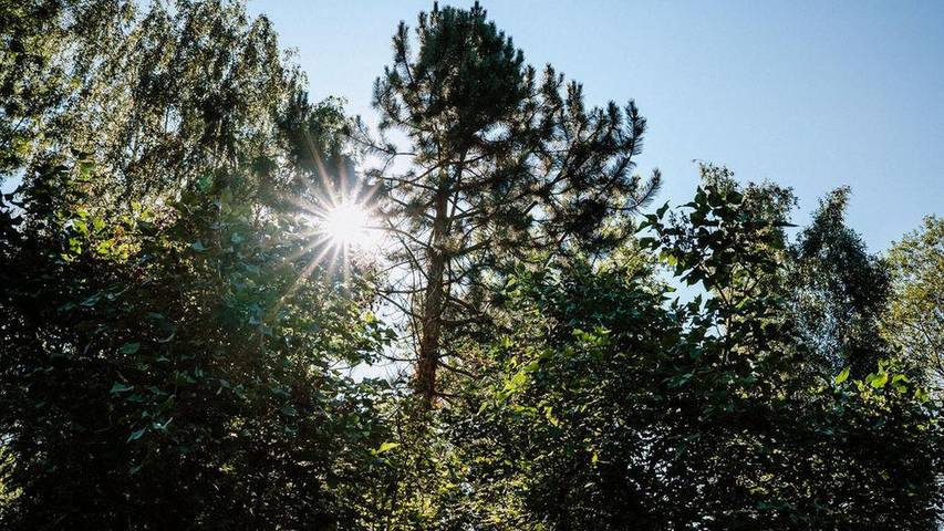 Ferienwohnung für 7 Personen, mit Terrasse in Radeberg - 3