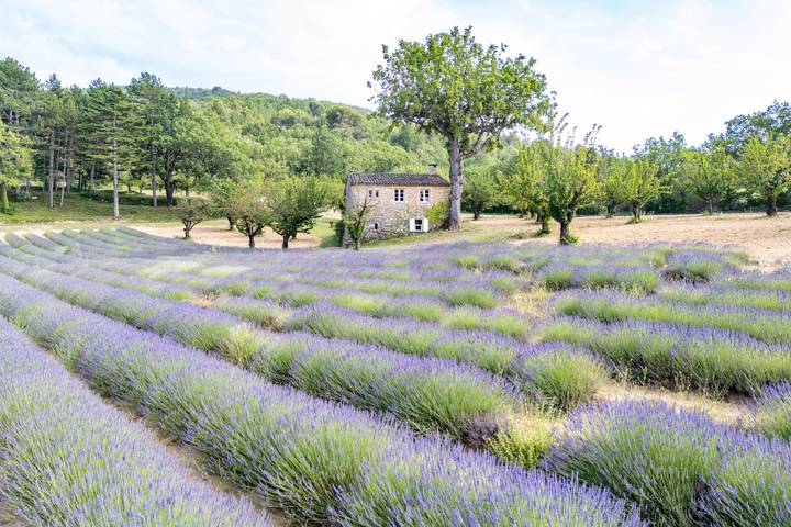 Ferienhaus für 17 Personen, mit Garten und Pool, mit Haustier in Apt - 2
