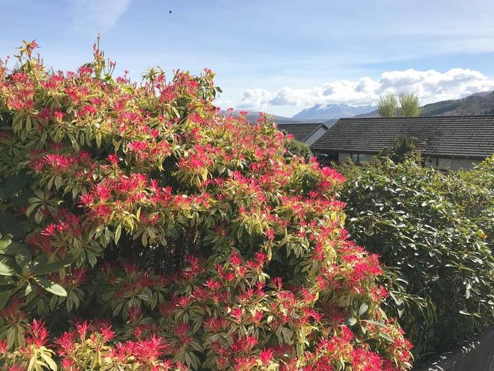 Maison d’hôte pour 2 personnes, avec jardin à Portree - 3