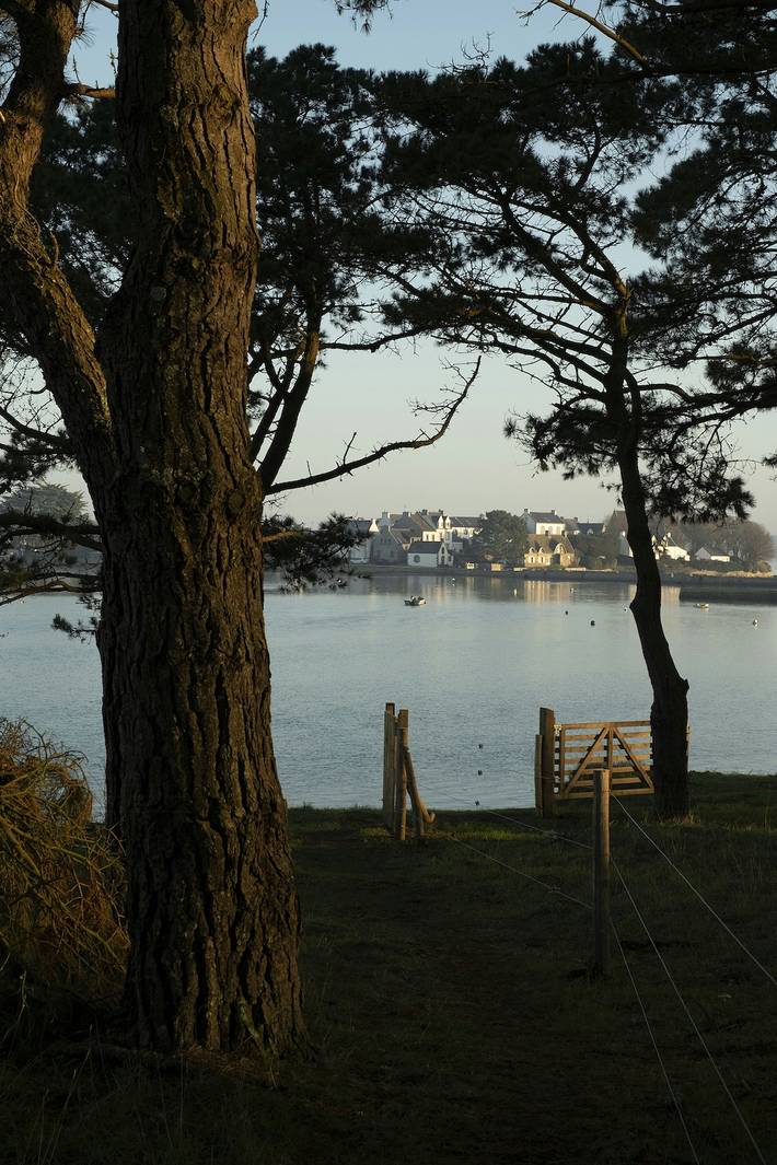 Gîte pour 2 personnes, avec terrasse dans Ilot De De Saint Cado - 3
