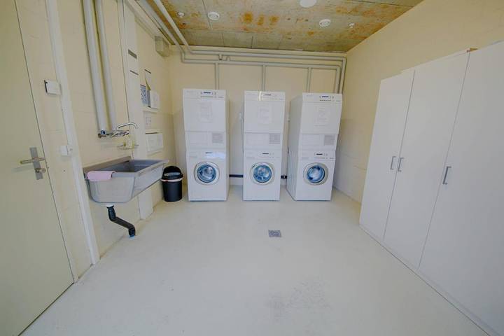 Gîte pour 3 personnes, animaux acceptés à Lucerne - 4