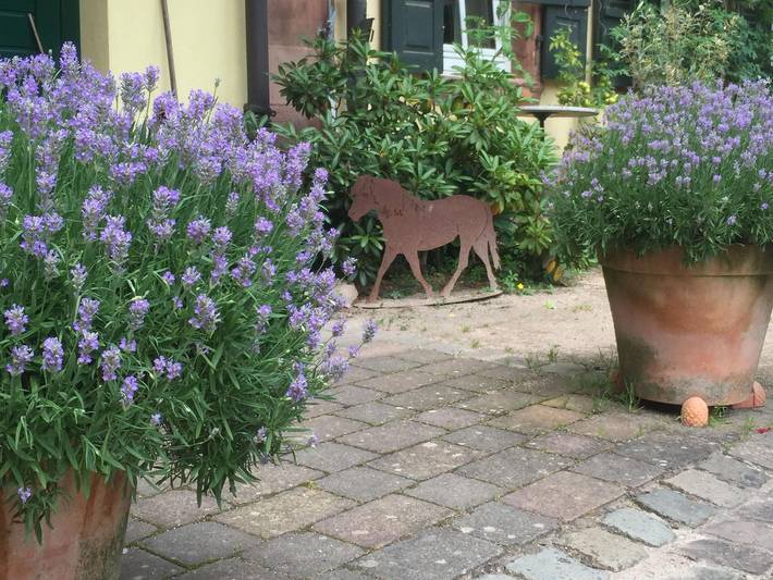Ferienwohnung für 8 Personen, mit Garten in Klingenmünster - 3