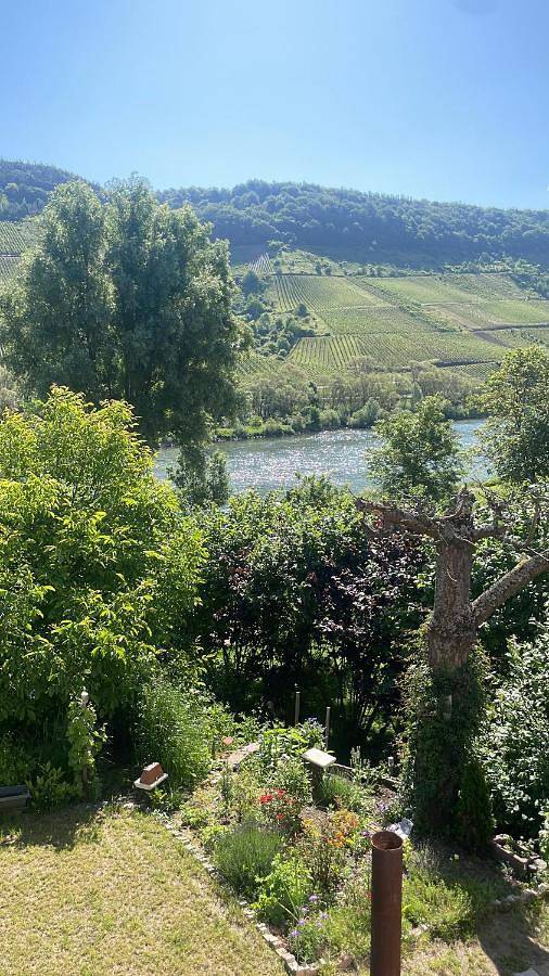 Ferienwohnung für 4 Personen, mit Balkon und Ausblick in Reil - 3