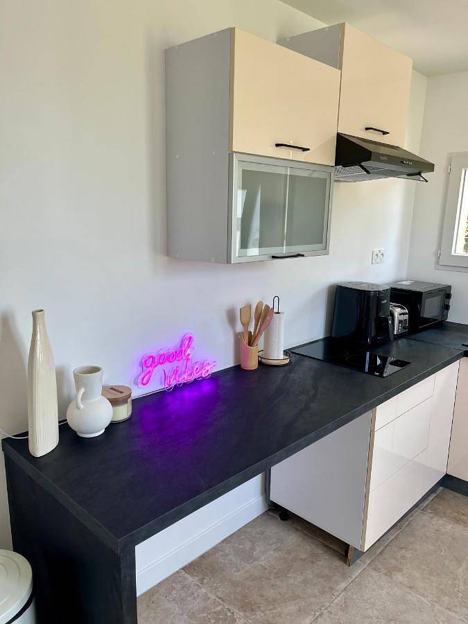 Gîte pour 2 personnes, avec terrasse et jacuzzi à Les Pavillons-sous-Bois - 3