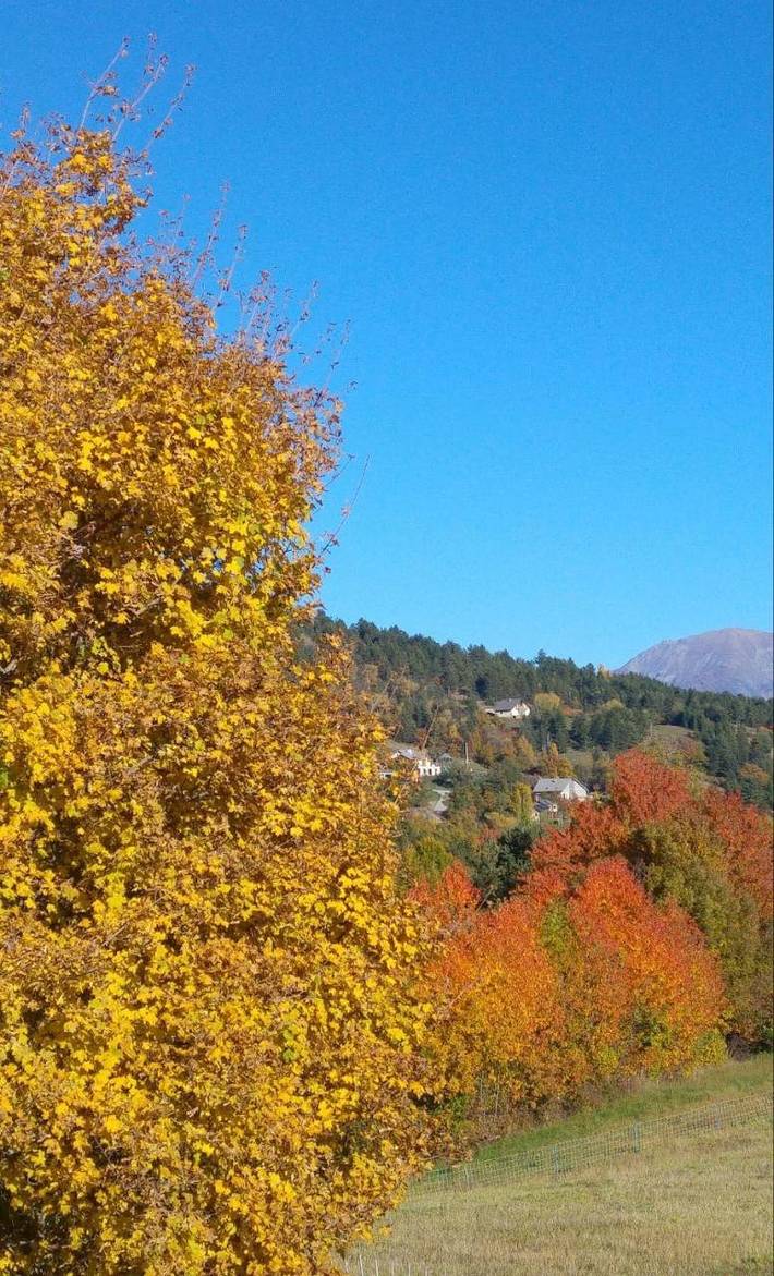 Gîte pour 2 personnes, avec terrasse ainsi que vue sur le lac et jardin à Prunières - 4
