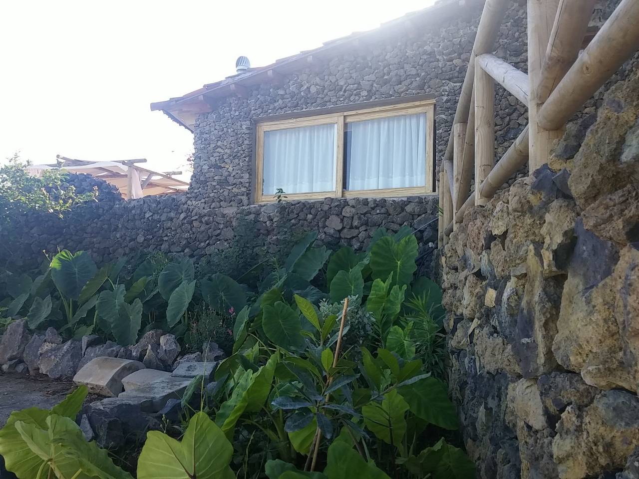 Ecolodge Teneriffa: Entspannung und Natur mit Panoramablick in Garachico, Tenerife Norte