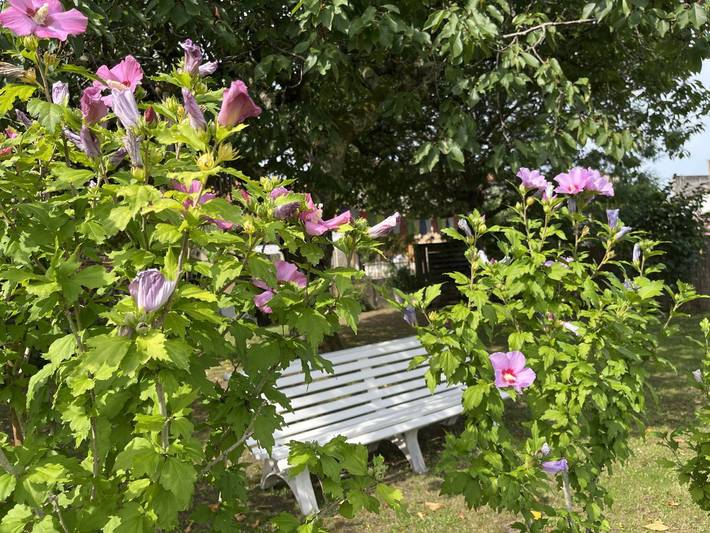 Chambre d’hôte pour 2 personnes, avec jardin dans le Tarn-et-Garonne - 4