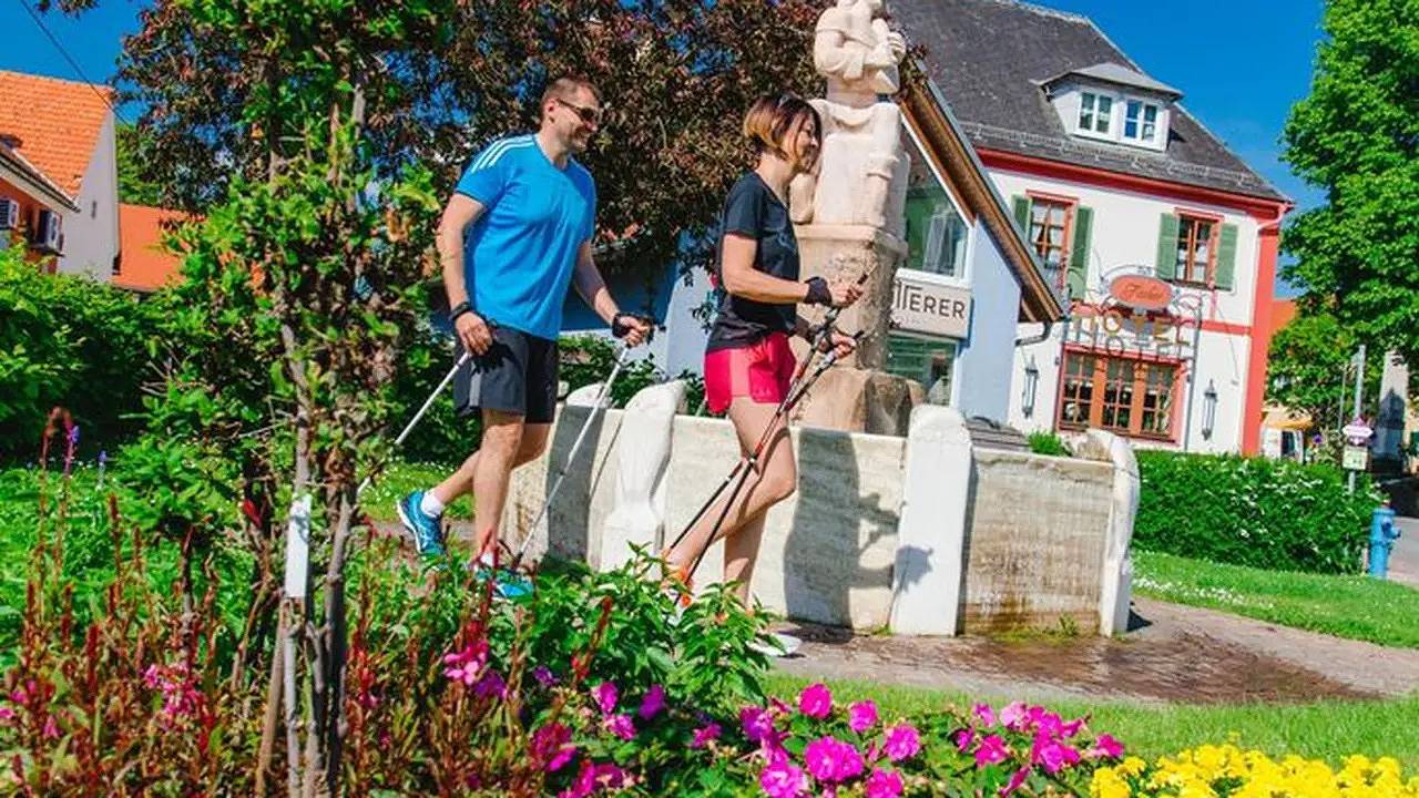 Einzelzimmer für 1 Person (20 m²) in Bad Waltersdorf in Bad Waltersdorf, Steirerland