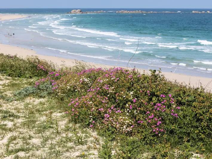 Location de vacances pour 6 personnes, avec jardin à Cléder - 3