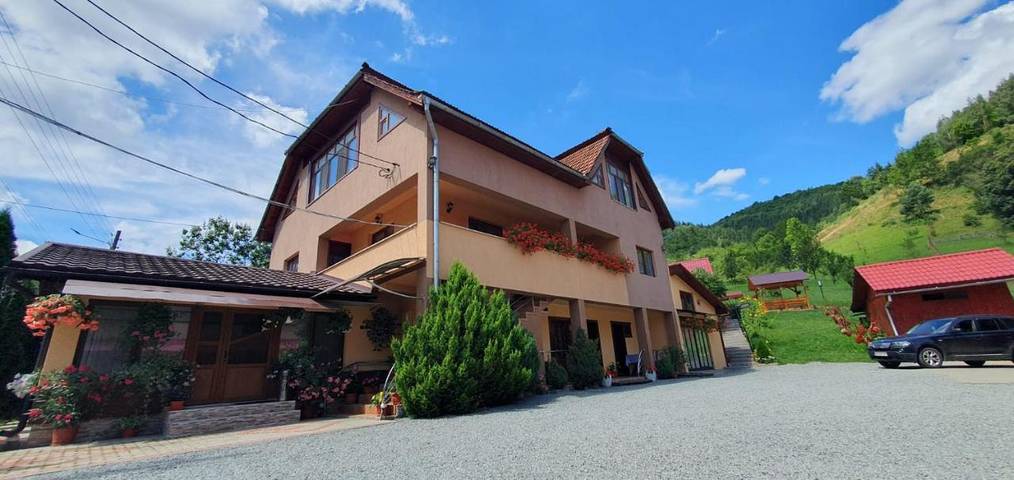 Maison d’hôte pour 2 personnes, avec vue et jardin à Alba (Romania) - 3
