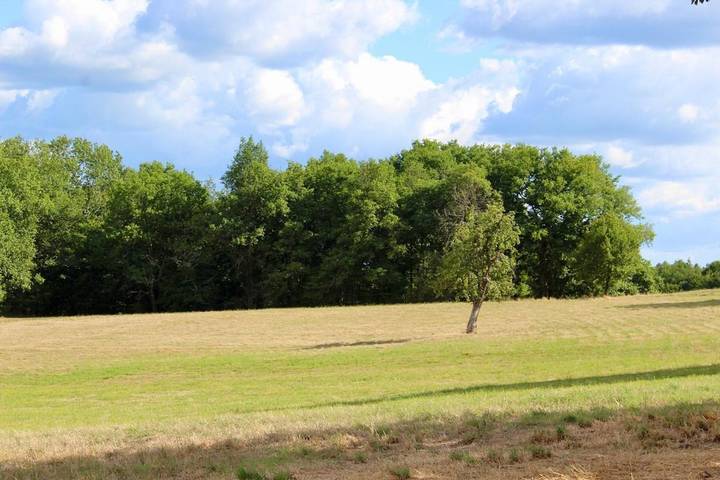 Location de vacances pour 10 personnes, avec piscine et vue ainsi que terrasse et jardin à Montpon-Ménestérol - 3