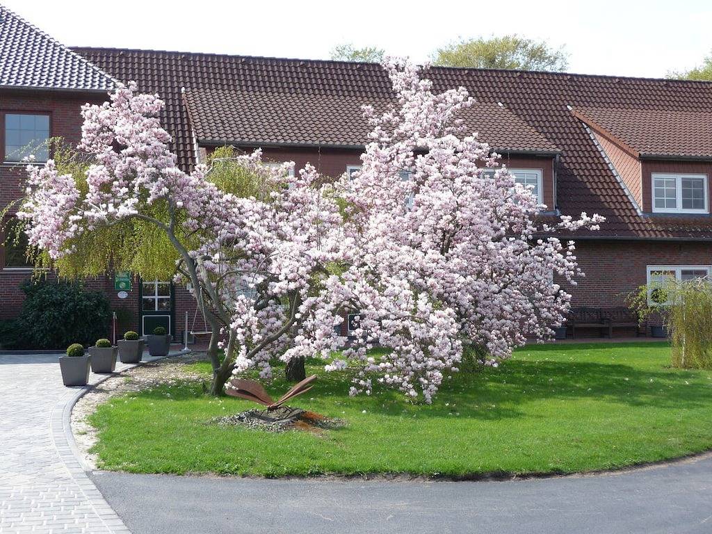 Ferienwohnung mit 2 Schlafzimmer in Mardorf, Neustadt am Rübenberge