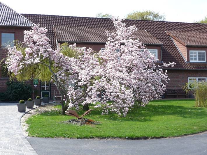 Ferienhaus für 3 Personen, mit Terrasse und Garten in Mardorf - 3