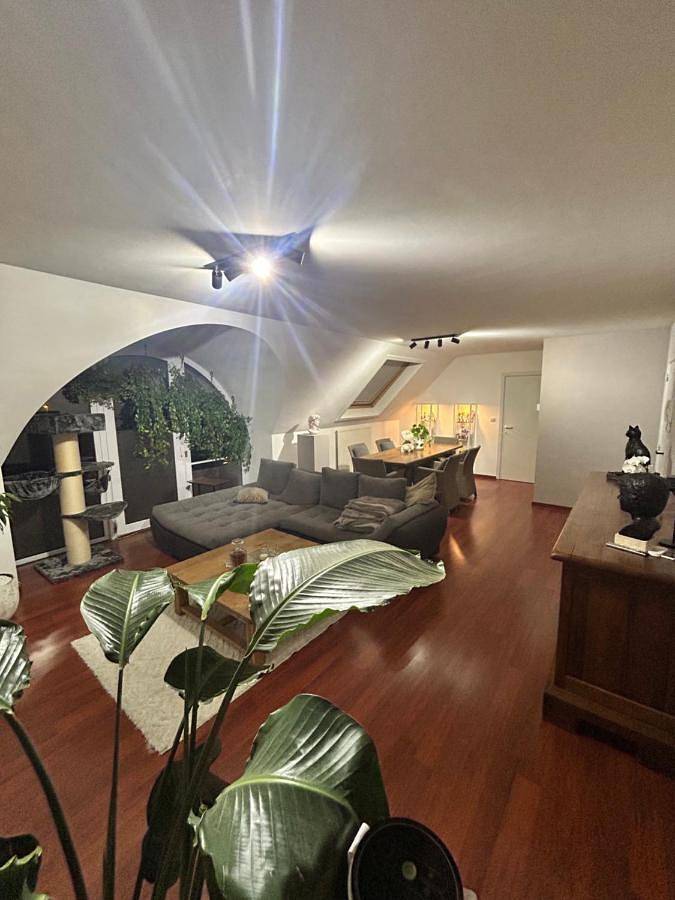 Gîte pour 5 personnes, avec vue et balcon à Boom - 3