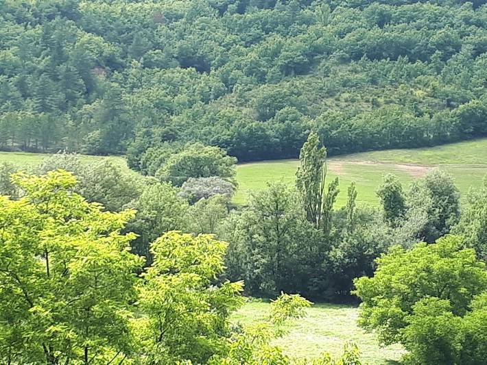 Gîte pour 2 personnes, avec terrasse et vue ainsi que piscine et jardin, animaux acceptés à Thoard - 3