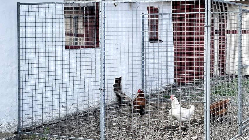 Ferienhaus für 5 Personen, mit Pool in Sjöbo und Umgebung - 4