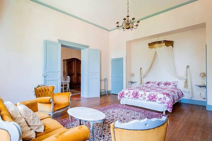 Château pour 20 personnes, avec jardin dans le Tarn - 2