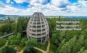 Ferienpark für 4 Personen, mit Balkon und Balkon/Terrasse sowie Garten und Sauna im Bayerischer Wald - 2