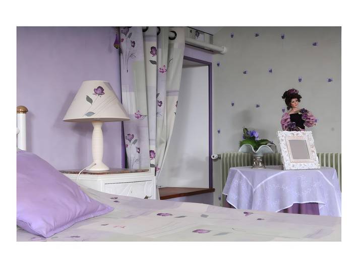 Chambre d’hôte pour 3 personnes, avec jardin, animaux acceptés dans les Deux-Sèvres - 3