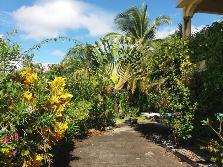Chambre d’hôte pour 4 personnes, avec jardin et piscine en Martinique - 3