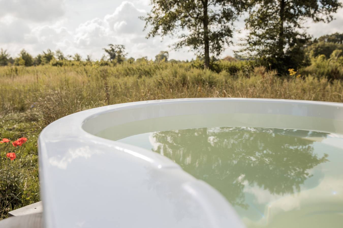 Einzigartiges Ferienhaus mit Whirlpool und Infrarotsauna, natürlicher Lage in Nordbrabant in Nordbrabant