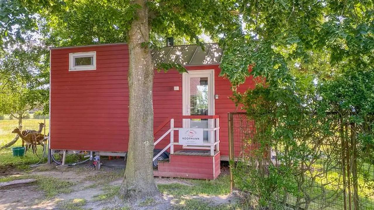 Ferienhaus für 4 Personen (21 m²) in Rubkow in Rubkow, Vorpommern Greifswald