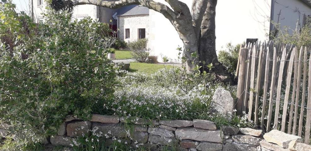 Location de vacances pour 2 personnes, avec Terrasse ainsi que Jardin et Vue à Tréméoc - 4