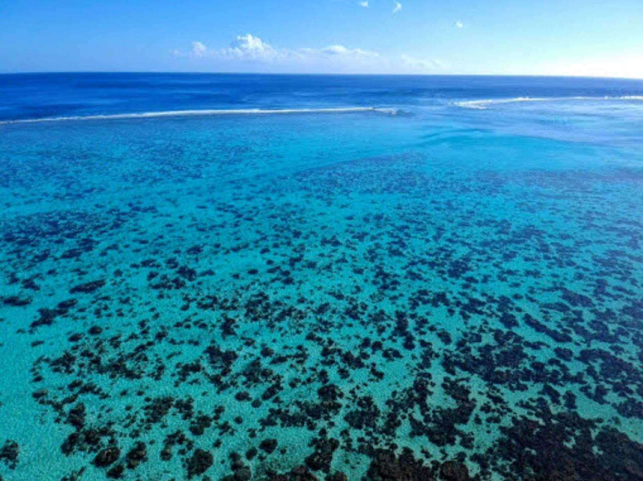 Entire apartment, Moorea - Fare Taina Iti in Haapiti, Windward Islands