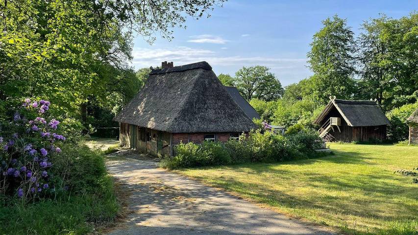 Ferienwohnung für 6 Personen, mit Garten in Bispingen - 3