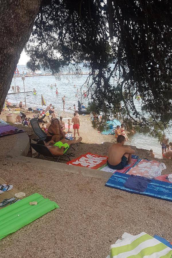 Family friendly house with a swimming pool Sikovo, Biograd - 23718 in Općina Sveti Filip i Jakov, Zadar