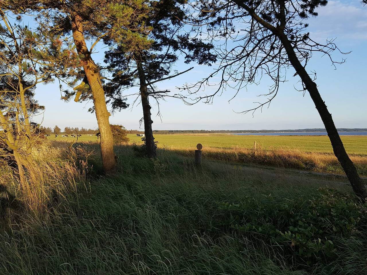 6 Personen Ferienhaus in Løgstør in Trend, Limfjord in Nordjütland
