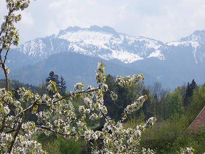 Ferienhaus für 2 Personen, mit Balkon und Garten im Chiemgau - 2