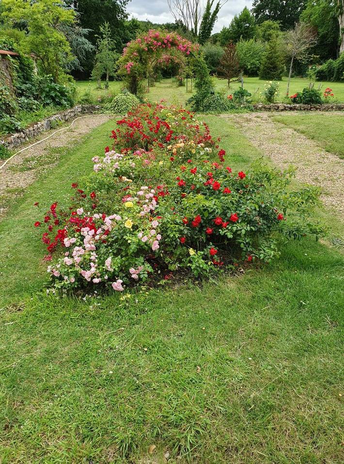 Chambre d’hôte pour 2 personnes, avec jardin dans Centre-Val de Loire - 3