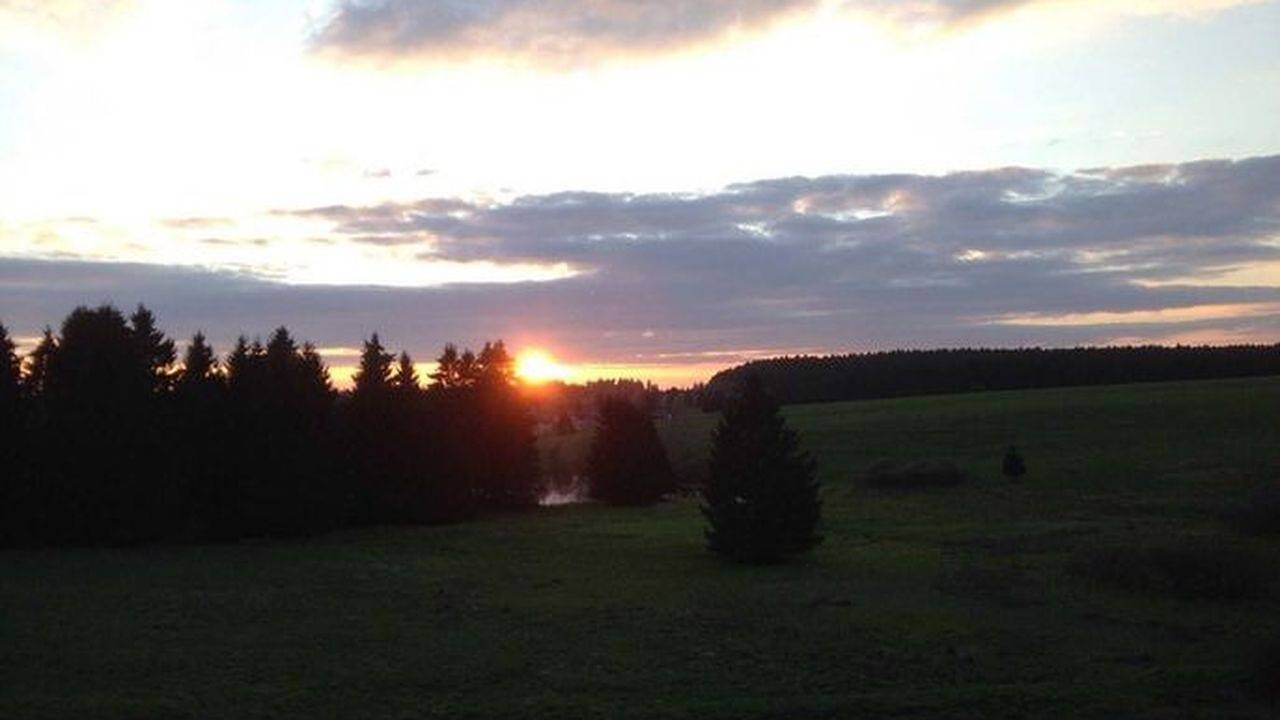 Doppelzimmer für 2 Personen (20 m²) in Buntenbock in Buntenbock, Harzvorland