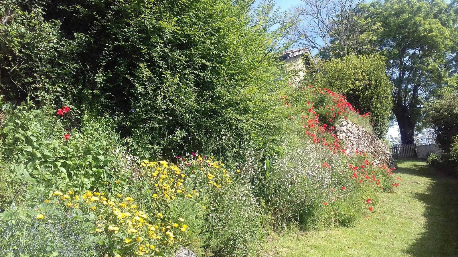 Gîte de Says in Champagné-Saint-Hilaire, Vienne