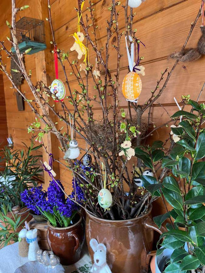 Gîte pour 2 personnes, avec jardin et vue à Hallstatt - 4