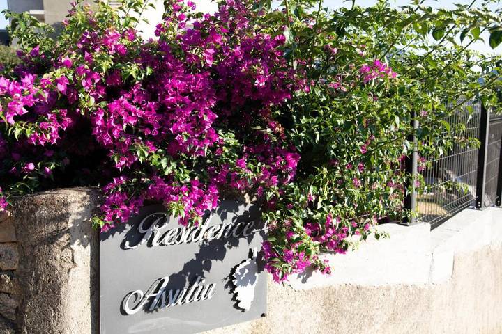 Location de vacances pour 5 personnes, avec vue et jardin, animaux acceptés à Viggianello - 4