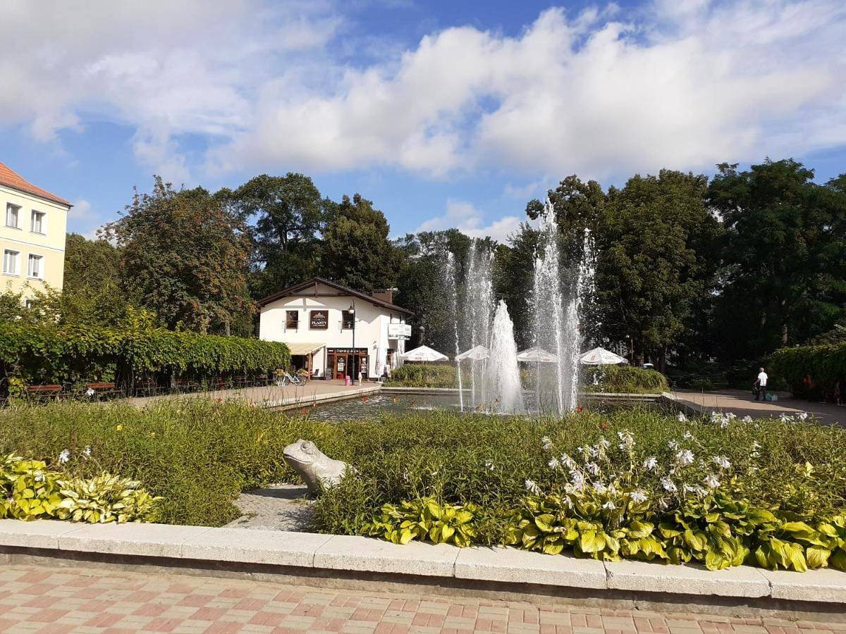 Cały apartament, Apartament w Parku Planty in Elbląg, Polskie Wybrzeże Bałtyku