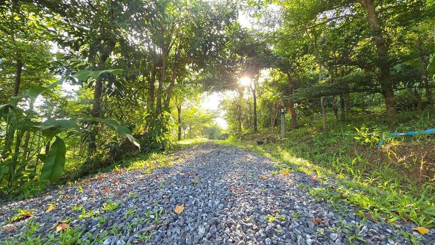Station pour 2 personnes, avec vue et balcon dans Khao Sok - 3