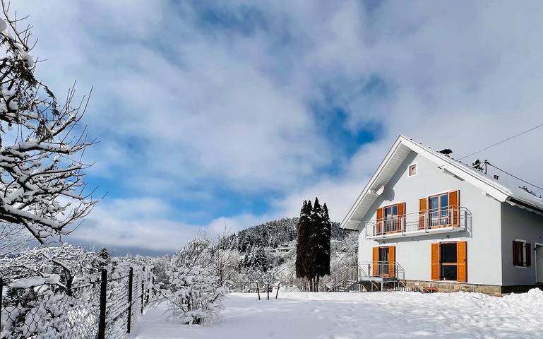 Ferienhaus für 6 Personen, mit Sauna und Garten, mit Haustier - 1