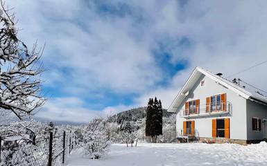 Ferienhaus für 6 Personen, mit Sauna und Garten, mit Haustier in Seeboden