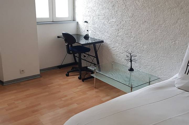 Ganze Wohnung, Large apartment City center free park in Besançon, Doubs