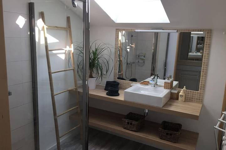 Location de vacances pour 13 personnes, avec jardin à Chauvigny - 2