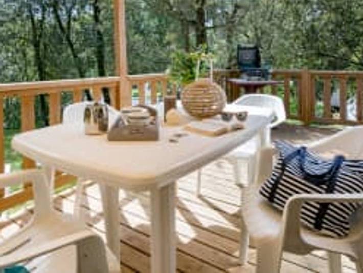 Mobil home pour 5 personnes, avec bassin pour enfant, animaux acceptés à Saint-Crépin-et-Carlucet - 3