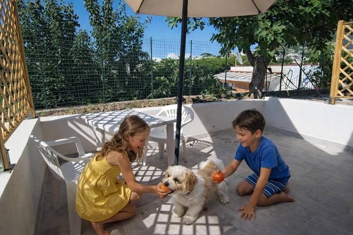 Chambre d’hôte pour 2 personnes, avec jardin et vue à Forio - 3